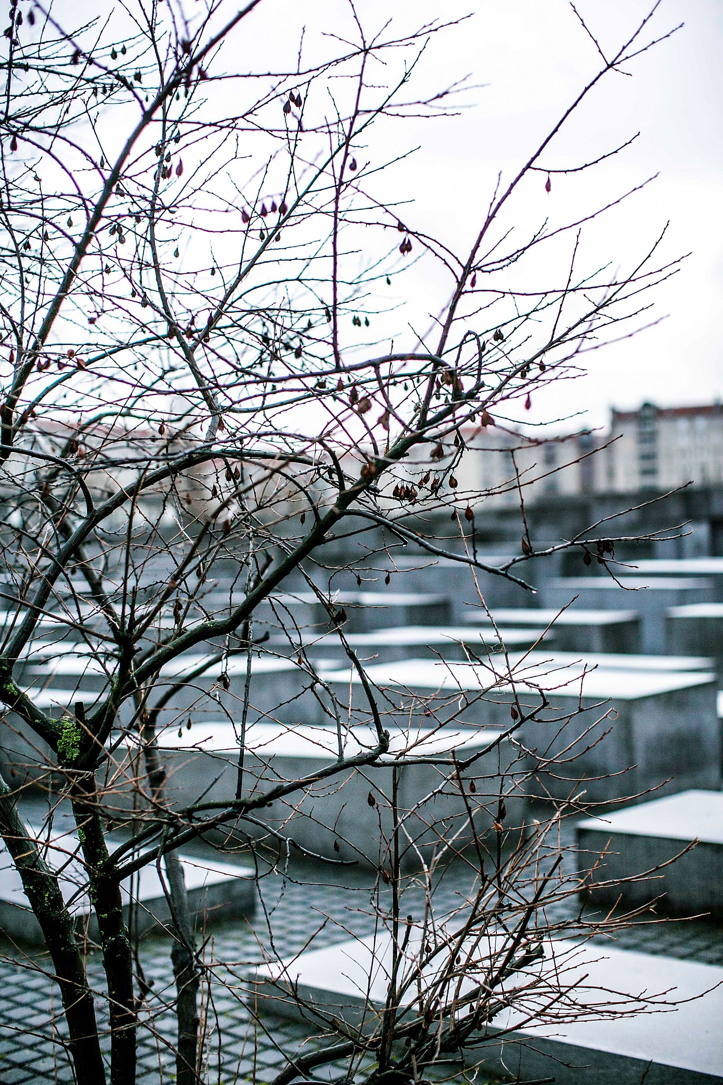 Punta Norte: Historia de un reencuentro…77 años después Punta Norte: Historia de un reencuentro…77 años después