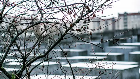 Memoria del Holocausto Memoria del Holocausto