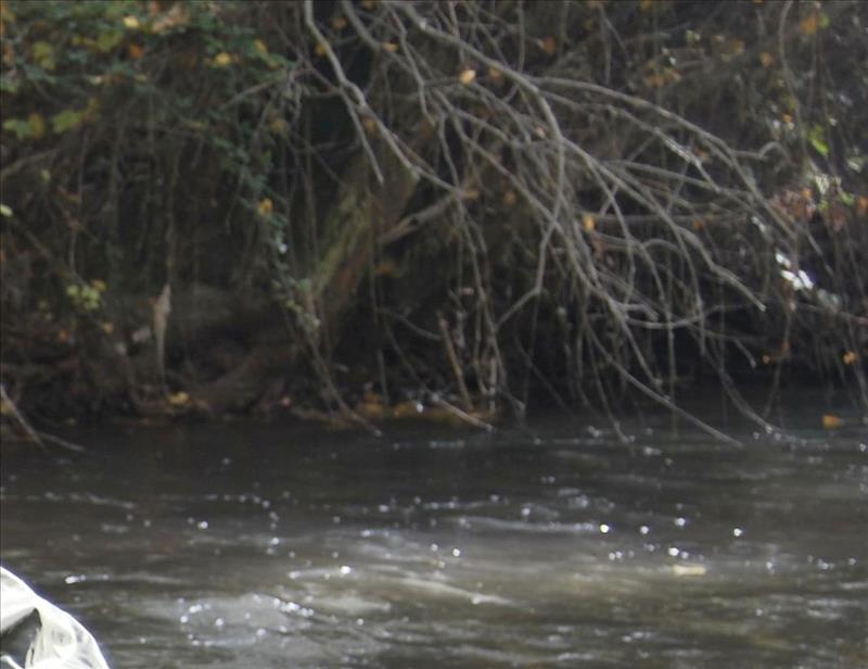 Más de uno Alcalá 20/07/2020 Más de uno Alcalá 20/07/2020