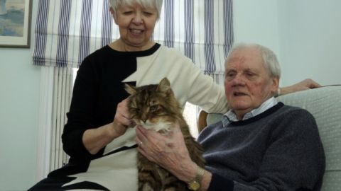 Gatito geri&aacute;trico