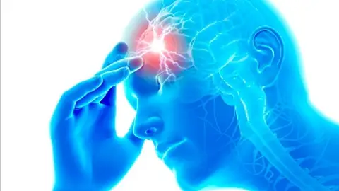 Cerebro Humano Cerebro Humano