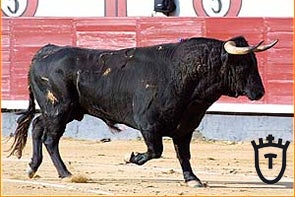 Aquí en la Onda. "Va por ustedes". 26/05/2015 Aquí en la Onda. "Va por ustedes". 26/05/2015