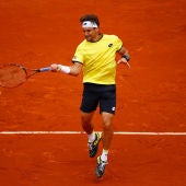 David Ferrer consigue la victoria en Rolland Garros