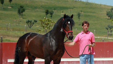 Pablo Hermoso de Mendoza