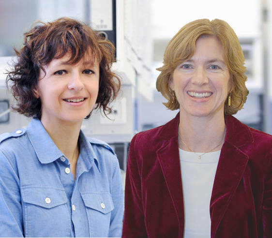 Charpentier y Doudna, premio Princesa de Asturias de Investigación Científica y Técnica Charpentier y Doudna, premio Princesa de Asturias de Investigación Científica y Técnica