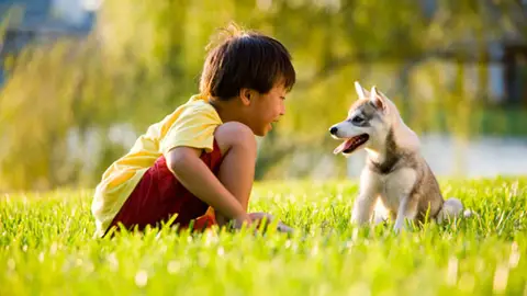 Cachorro con niño Cachorro con niño