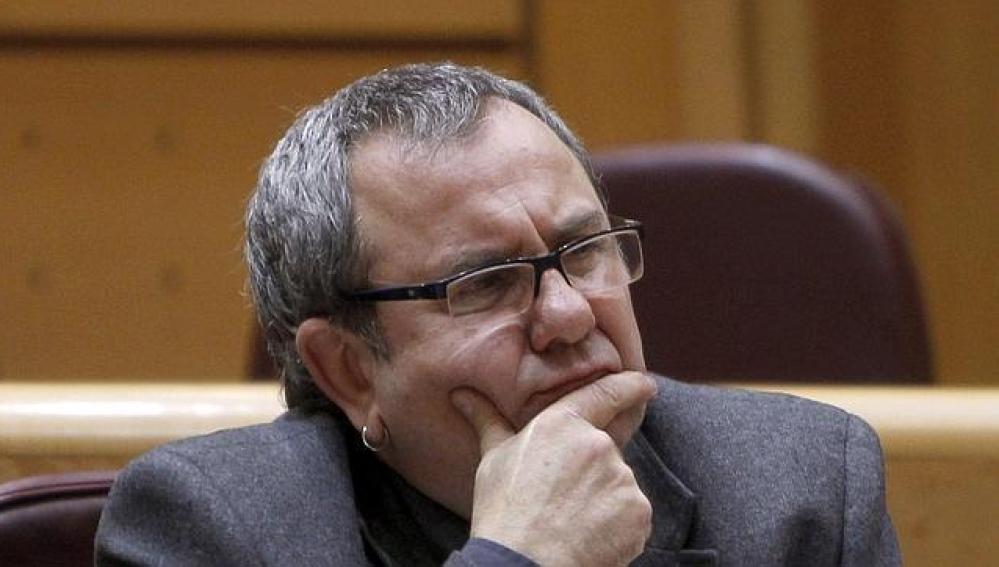 El senador de Amaiur, Iñaki Goioaga El senador de Amaiur, Iñaki Goioaga
