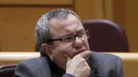 El senador de Amaiur, Iñaki Goioaga El senador de Amaiur, Iñaki Goioaga