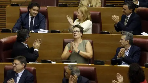 El diputado socialista, Francesc Colomer (arriba a la izquierda) El diputado socialista, Francesc Colomer (arriba a la izquierda)