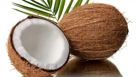 El coco, una sabrosa fruta tropical El coco, una sabrosa fruta tropical