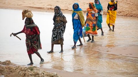 Mujeres sudanesas recogen le&ntilde;a 