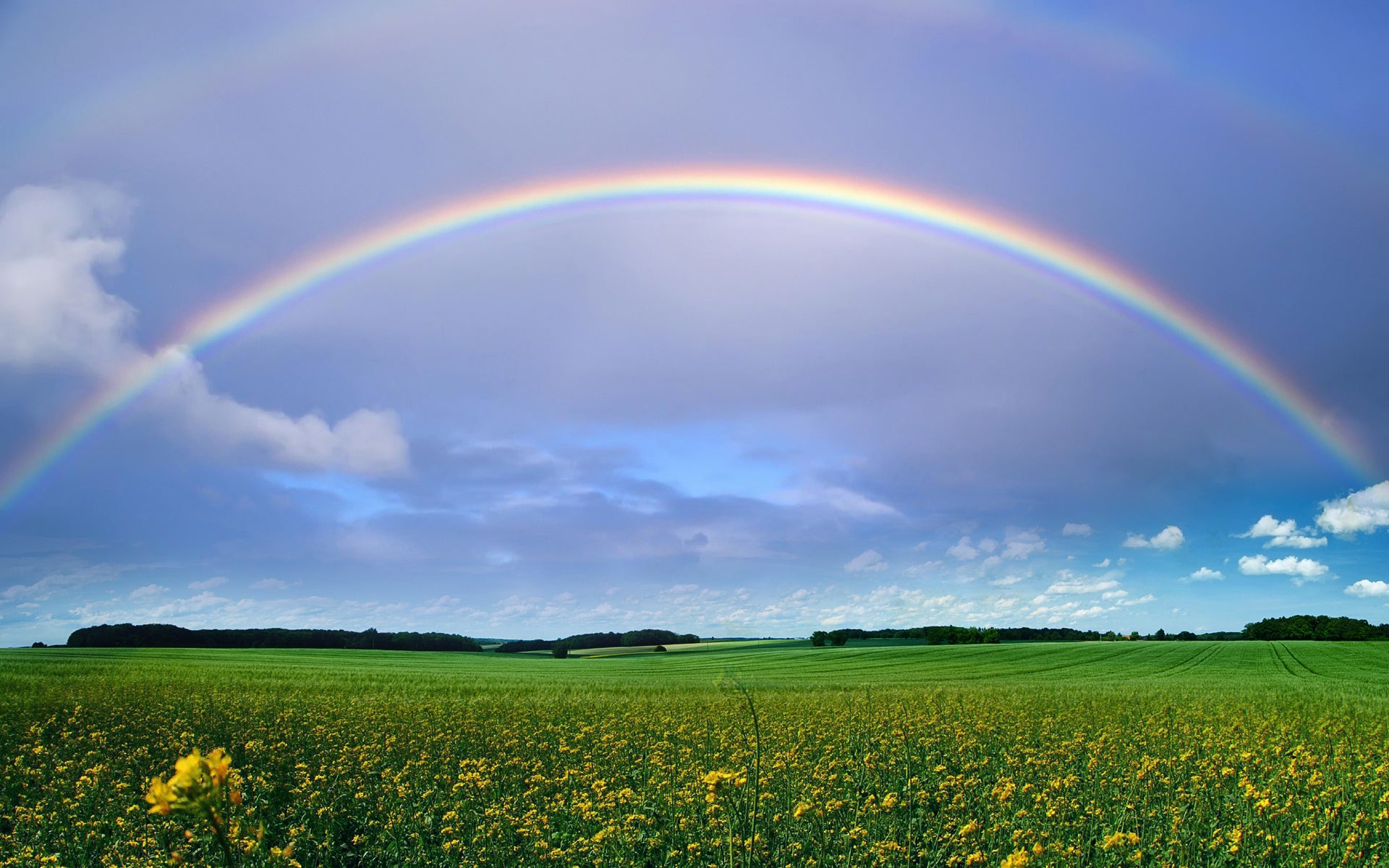Canciones sobre arcoiris Canciones sobre arcoiris