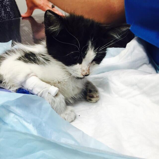 Los finalistas que grabarán el disco #porbroken Los finalistas que grabarán el disco #porbroken