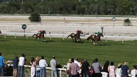 Hipódromo de la Zarzuela Hipódromo de la Zarzuela