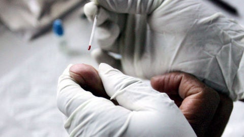 An&aacute;lisis de sangre