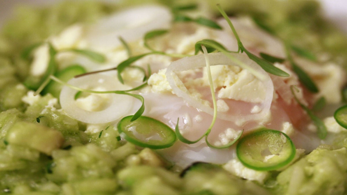 Receta: Manuel Domínguez nos enseña a preparar un arroz verde con cilantro Receta: Manuel Domínguez nos enseña a preparar un arroz verde con cilantro