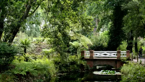 Botánico Gijón Botánico Gijón