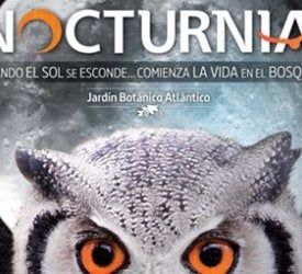 Gijón en la Onda 19/07/2016 con Guillermo Figueroa Gijón en la Onda 19/07/2016 con Guillermo Figueroa