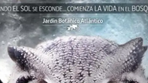 Nocturnia Gijón Nocturnia Gijón