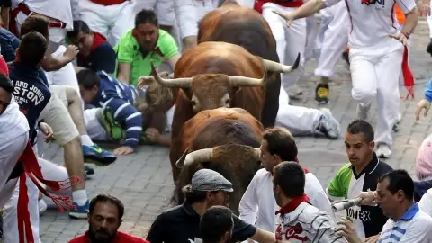 Encierro de San Fermín 2015 Encierro de San Fermín 2015
