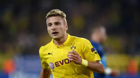 Immobile Immobile