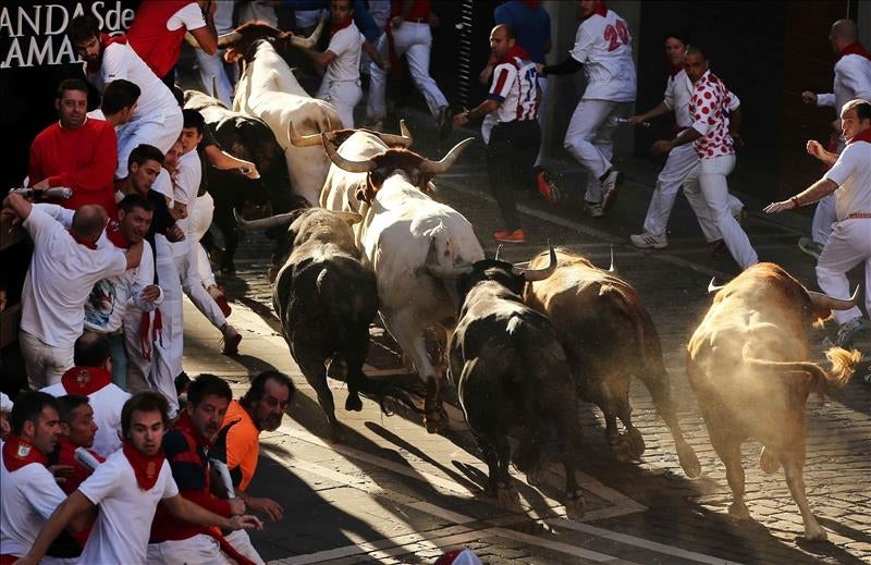 Los toros de Miura finalizan los Sanfermines con el encierro más rápido Los toros de Miura finalizan los Sanfermines con el encierro más rápido