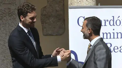 El Rey Felipe VI felicita a Pau Gasol al que le ha entregado el premio Camino Real del Instituto Franklin-UAH. El Rey Felipe VI felicita a Pau Gasol al que le ha entregado el premio Camino Real del Instituto Franklin-UAH.