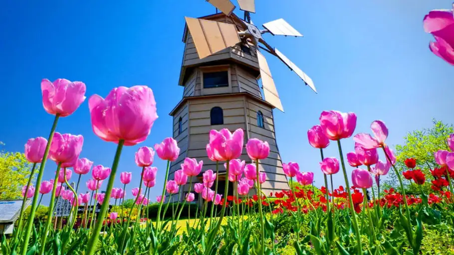 Holanda Holanda