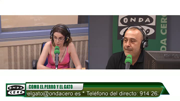 El especialista, un profesional que existe también en la veterinaria El especialista, un profesional que existe también en la veterinaria