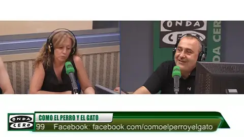 Frame 23.480531 de: Las arañas de viuda negra macho seducen a las hembras destruyendo sus casas Frame 23.480531 de: Las arañas de viuda negra macho seducen a las hembras destruyendo sus casas