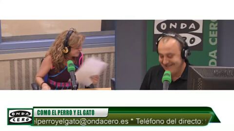 Frame 0.0 de: Abandonadas en M&aacute;laga cuarenta tortugas en peligro de extinci&oacute;n