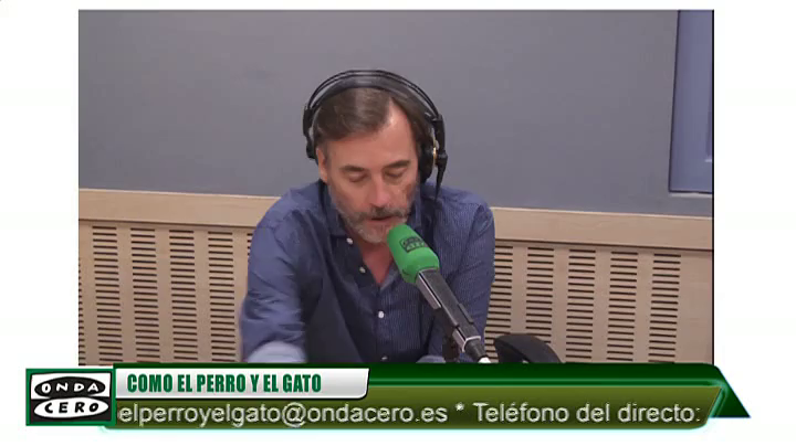 ¿Tu perro juega con todo el mundo menos contigo? ¿Tu perro juega con todo el mundo menos contigo?