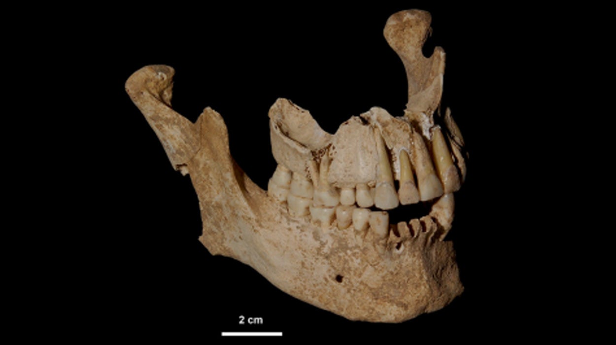 Hallan los restos de Filipo II, el padre de Alejandro Magno Hallan los restos de Filipo II, el padre de Alejandro Magno