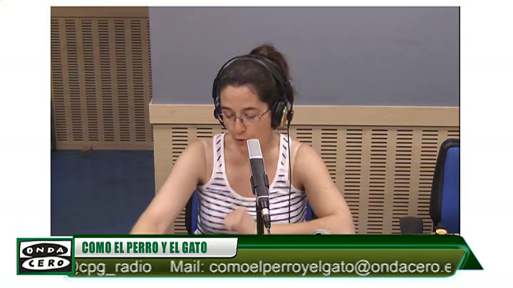 El sapo partero: del norte de la península a Murcia El sapo partero: del norte de la península a Murcia