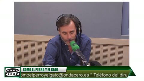Frame 0.0 de: Cuando el miedo a los petardos se convierte en p&aacute;nico