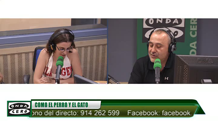 ¿Estás embarazada y vives con un gato? Puedes estar tranquila ¿Estás embarazada y vives con un gato? Puedes estar tranquila