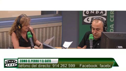 Frame 0.0 de: Reclaman 3.000 euros a Air Europa por la muerte de un perro en un vuelo Madrid-Mallorca