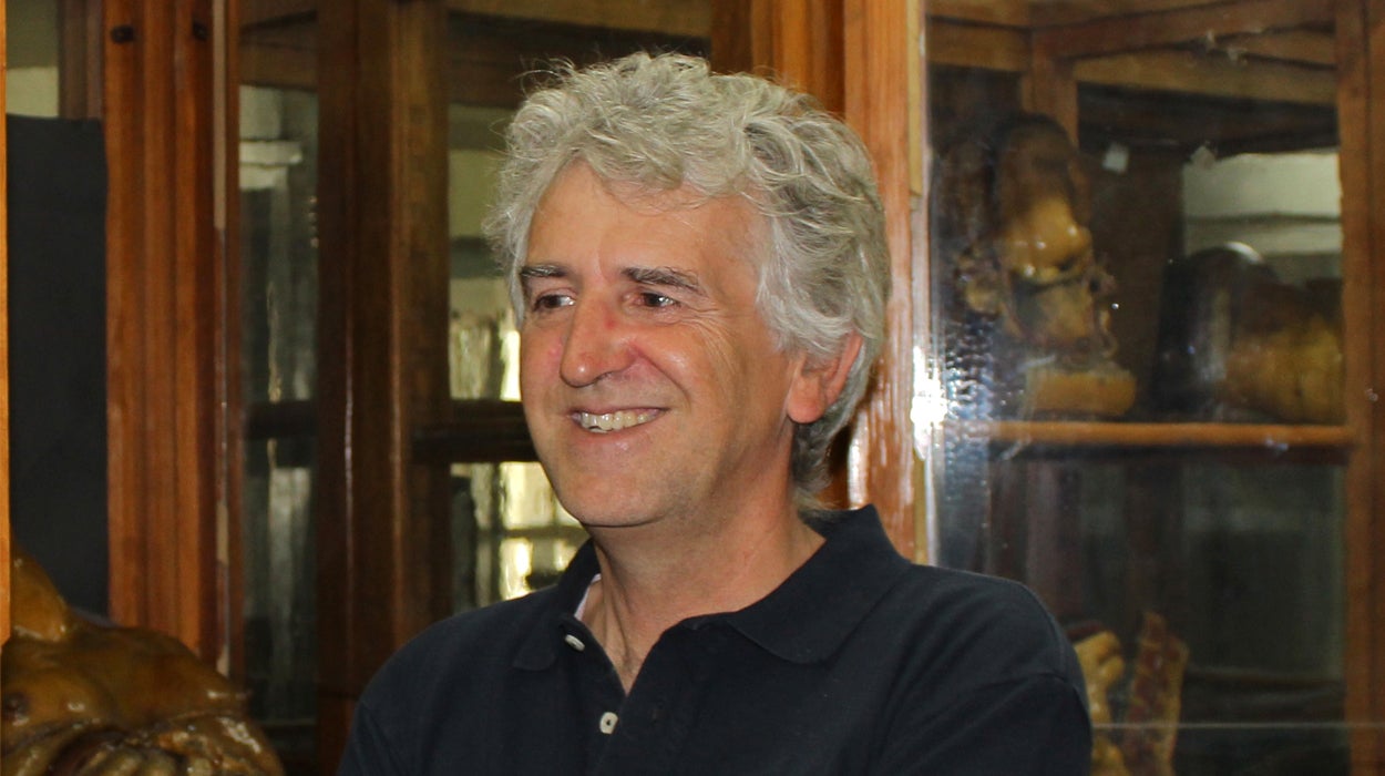 Juan Luis Arsuaga: “La tumba de Filipo II se corresponde con su personalidad guerrera” Juan Luis Arsuaga: “La tumba de Filipo II se corresponde con su personalidad guerrera”