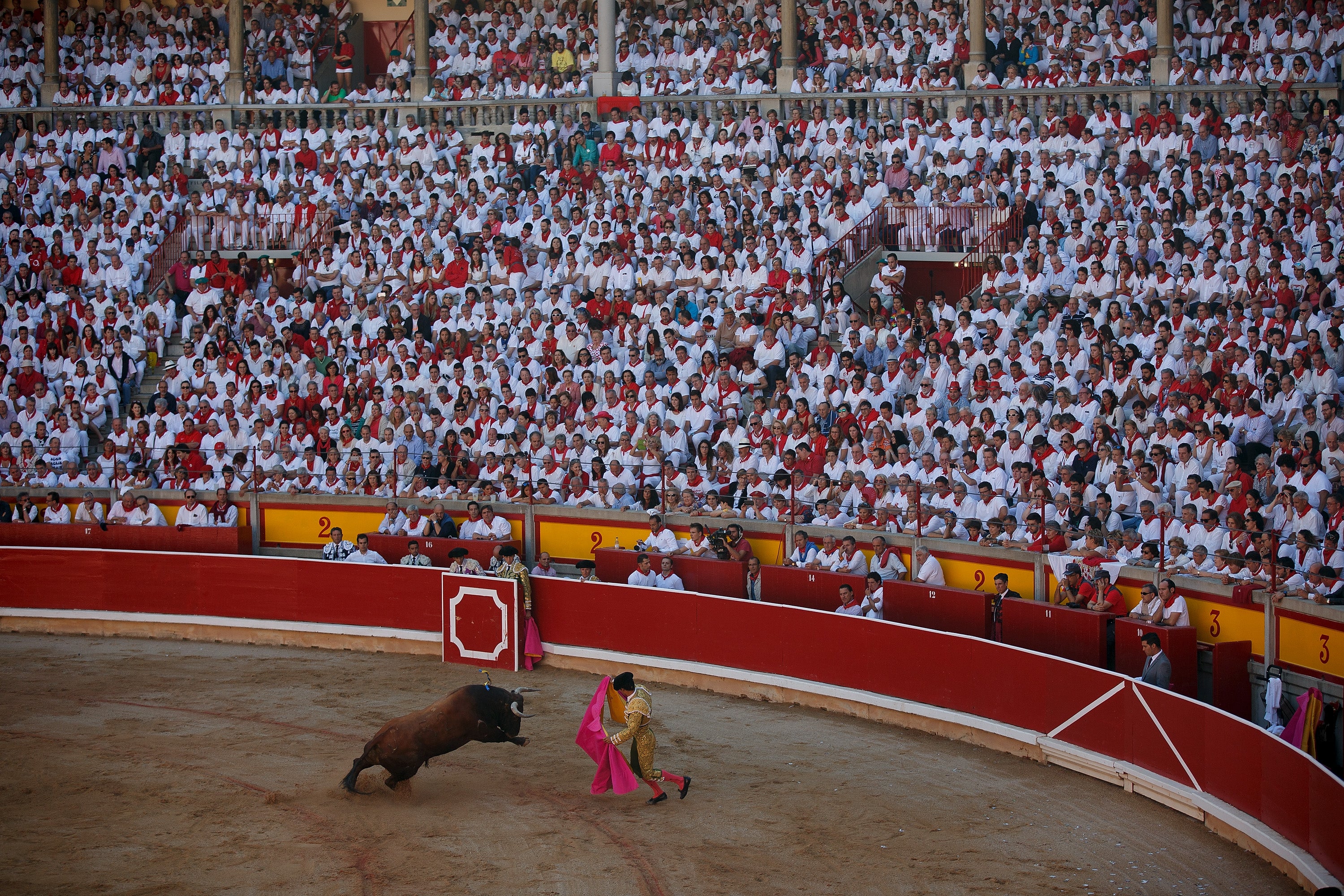 Minuto económico: Entre multas, comisiones y toros Minuto económico: Entre multas, comisiones y toros