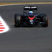 Fernando Alonso a bordo del MP4-30