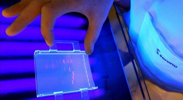 Europa aprueba la primera vacuna contra la malaria Europa aprueba la primera vacuna contra la malaria