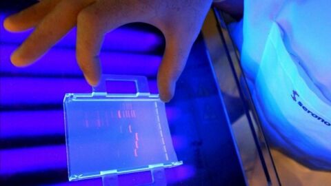 Avances en la vacuna contra la malaria