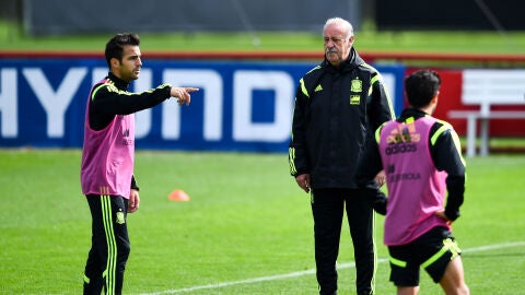 Del Bosque, en un entrenamiento con la Selecci&oacute;n Espa&ntilde;ola de F&uacute;tbol