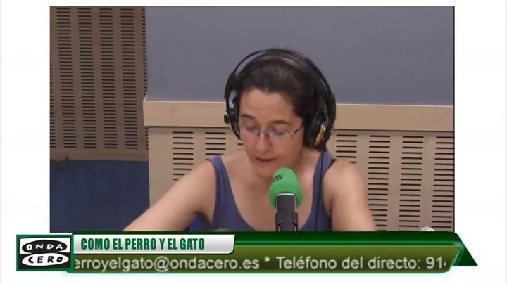 ¿Puede orinar un perro mientras nada? ¿Puede orinar un perro mientras nada?