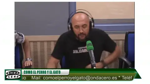 Frame 0.0 de: El pez más abuelo de los mares: el celacanto Frame 0.0 de: El pez más abuelo de los mares: el celacanto