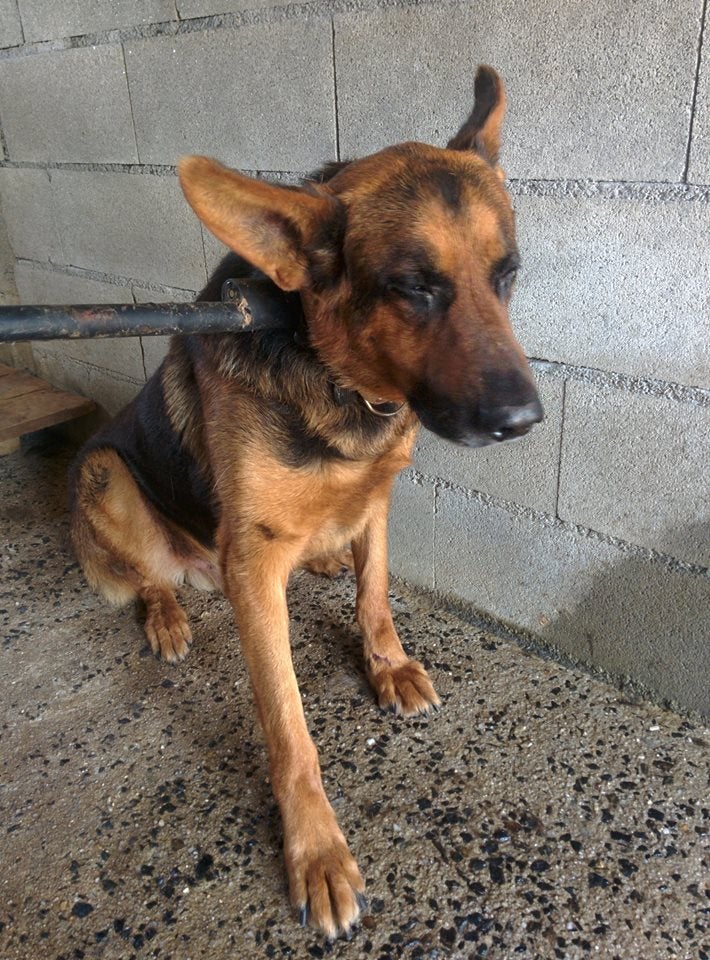 El final feliz del cuento de Vila El final feliz del cuento de Vila