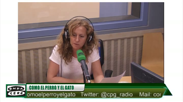 Detenido tras asaltar una residencia canina y golpear con una cadena a los perros Detenido tras asaltar una residencia canina y golpear con una cadena a los perros