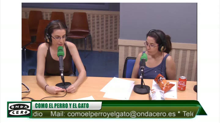 Cómo cuidar a un polluelo de golondrina Cómo cuidar a un polluelo de golondrina