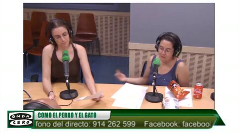 Frame 0.0 de: La administraci&oacute;n de f&aacute;rmacos en animales gestantes