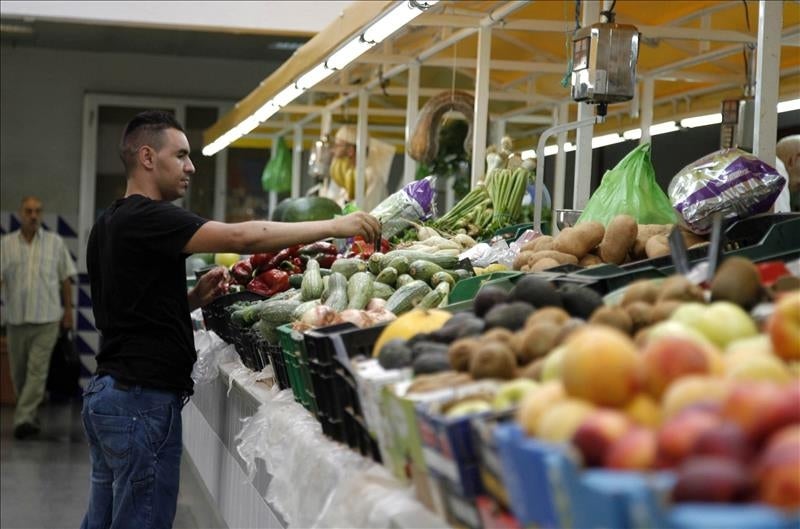 El valor de las exportaciones extremeñas de hortalizas y frutas crece un 4 % El valor de las exportaciones extremeñas de hortalizas y frutas crece un 4 %
